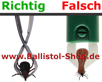 Zecke entfernen