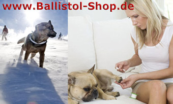 So schützen Sie die Pfoten Ihrer Hunde vor Verletzungen durch Streusalz!