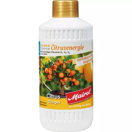 Mairol Citrusdünger Citrusenergie Mairol Citrusdünger Citrusenergie