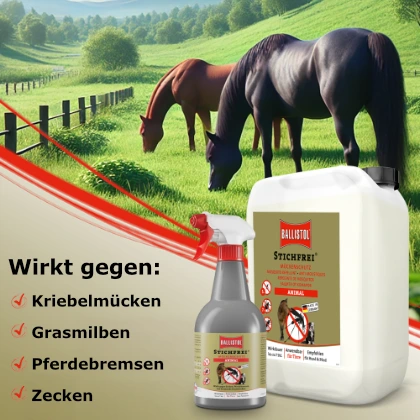Insektenschutz Pferd