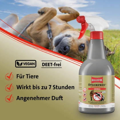 Zeckenschutz und Mückenschutz beim Hund