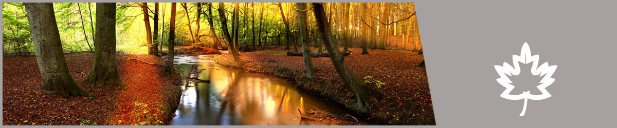 Ballistol im Herbst